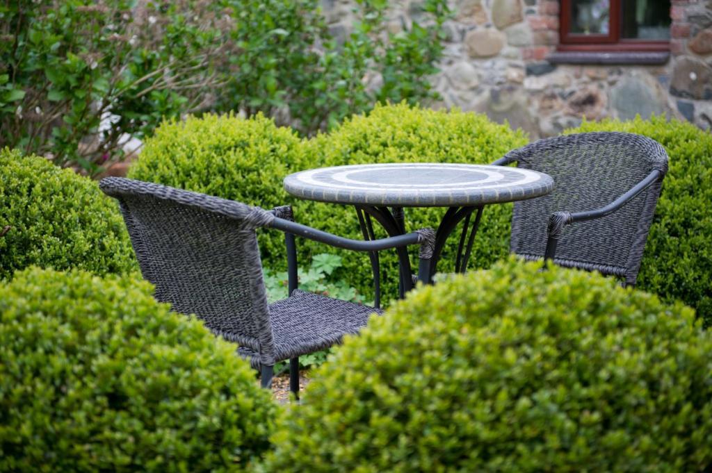 Tyn Rhos Country House Caernarfon Zimmer foto